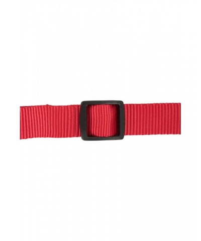 Collar - Small/Medium Red $7.41 Pets