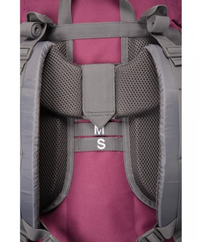 Tor 65L Backpack Berry $37.79 Backpacks