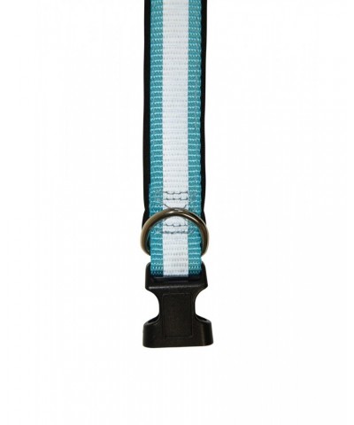 Reflective Dog Collar Blue $9.11 Pets